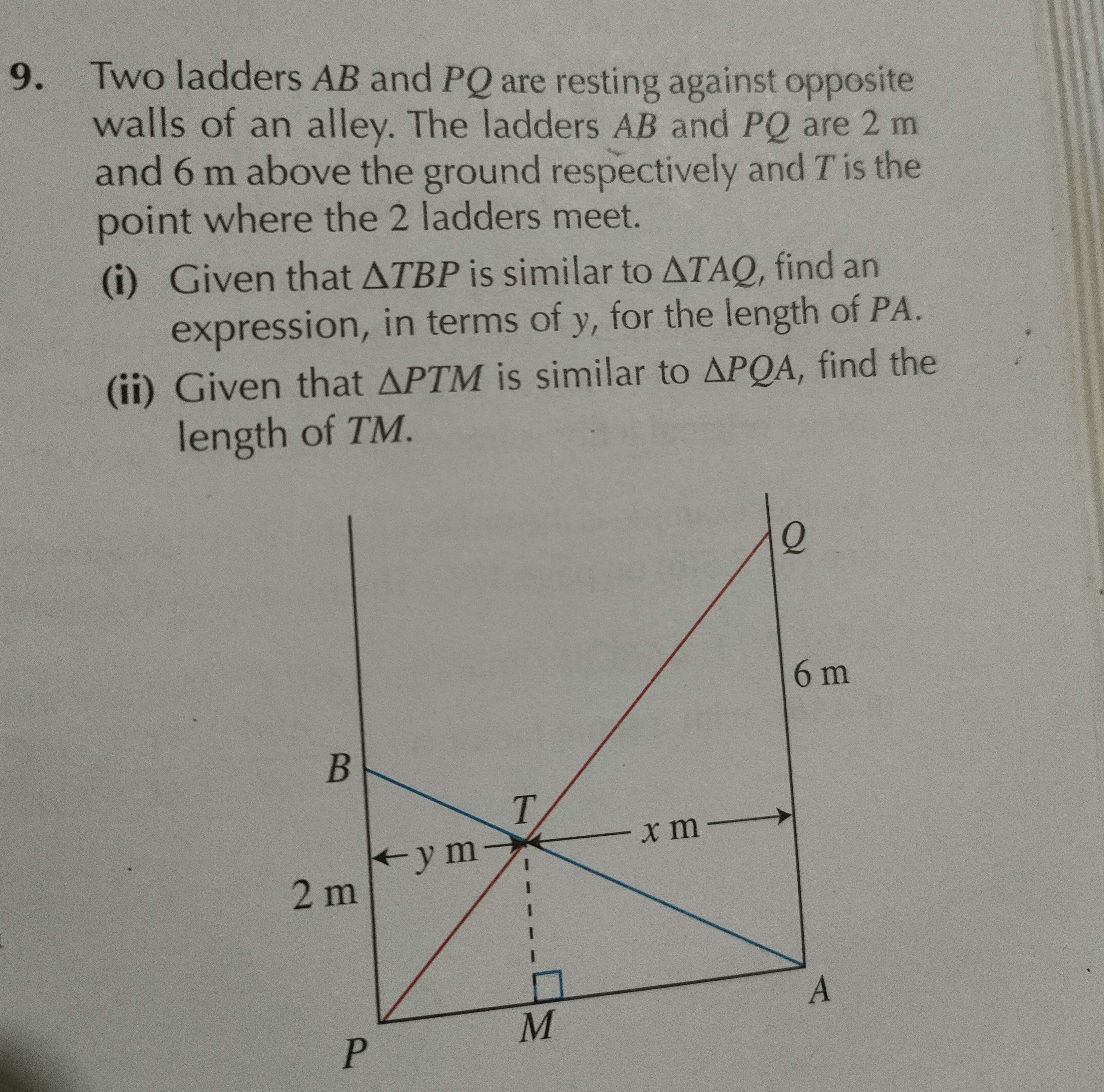 Question image 1