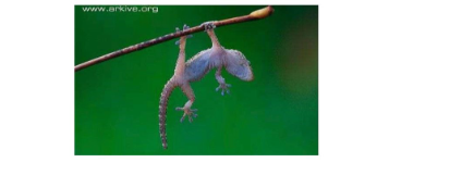 Question image 1