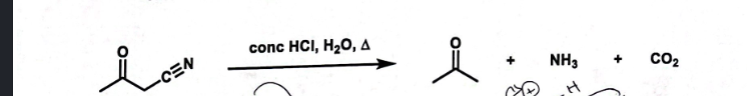 Question image 1