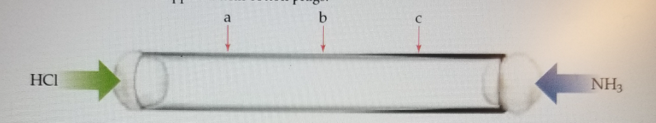 Question image 1