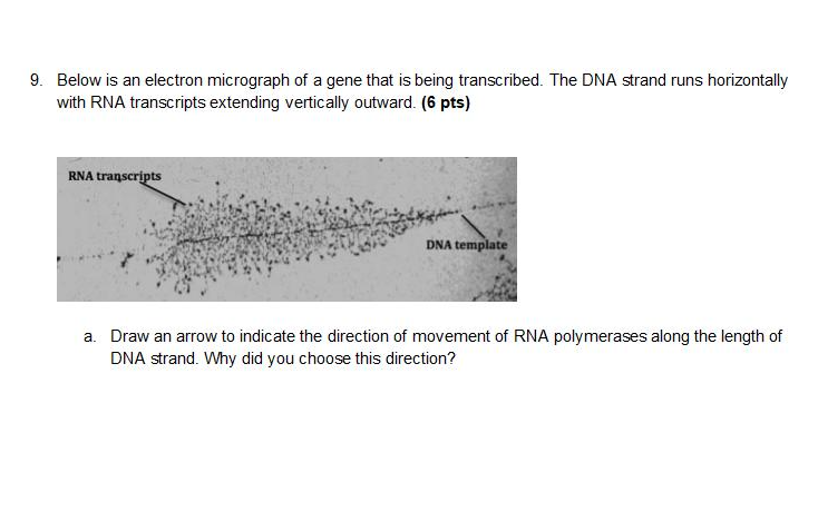 Question image 1