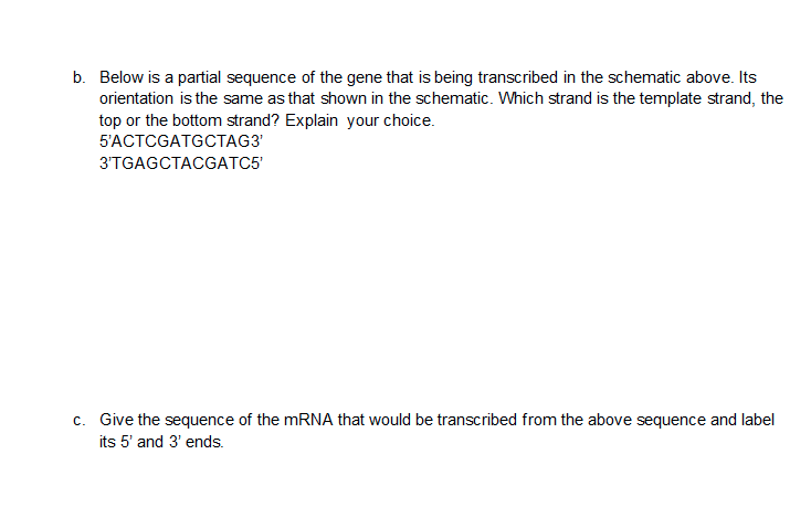 Question image 2