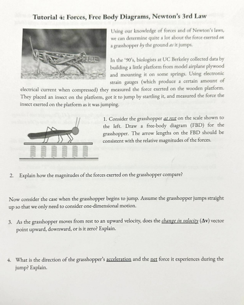 Question image 1