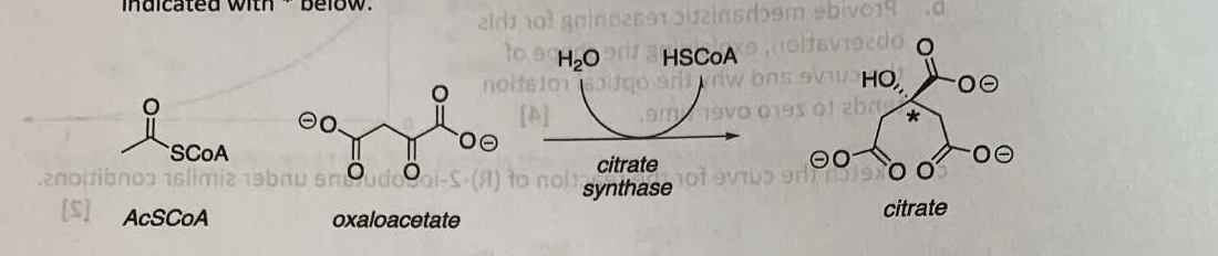Question image 3