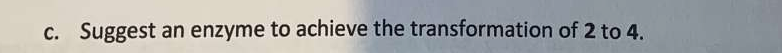 Question image 7