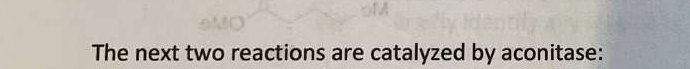 Question image 7