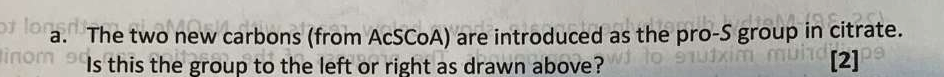 Question image 4