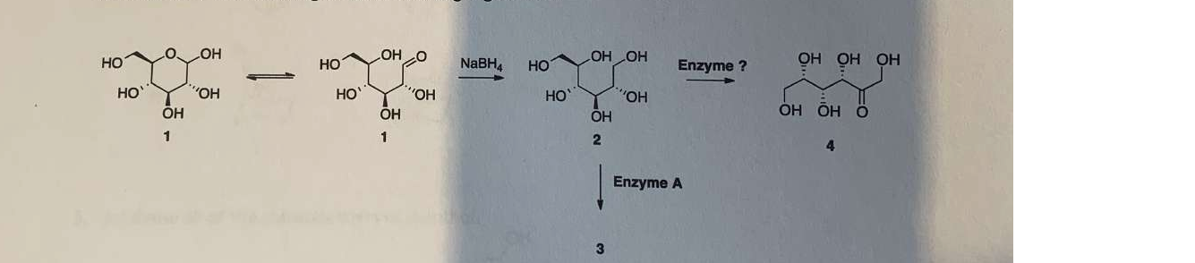 Question image 4