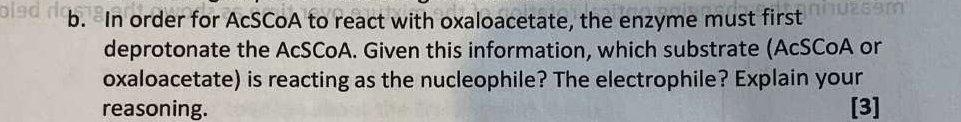 Question image 5