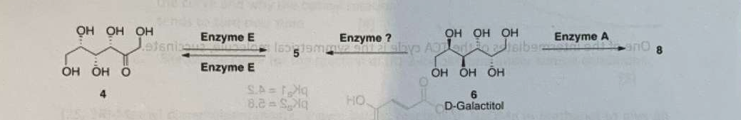 Question image 12