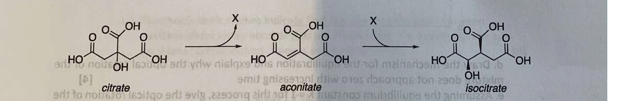 Question image 8
