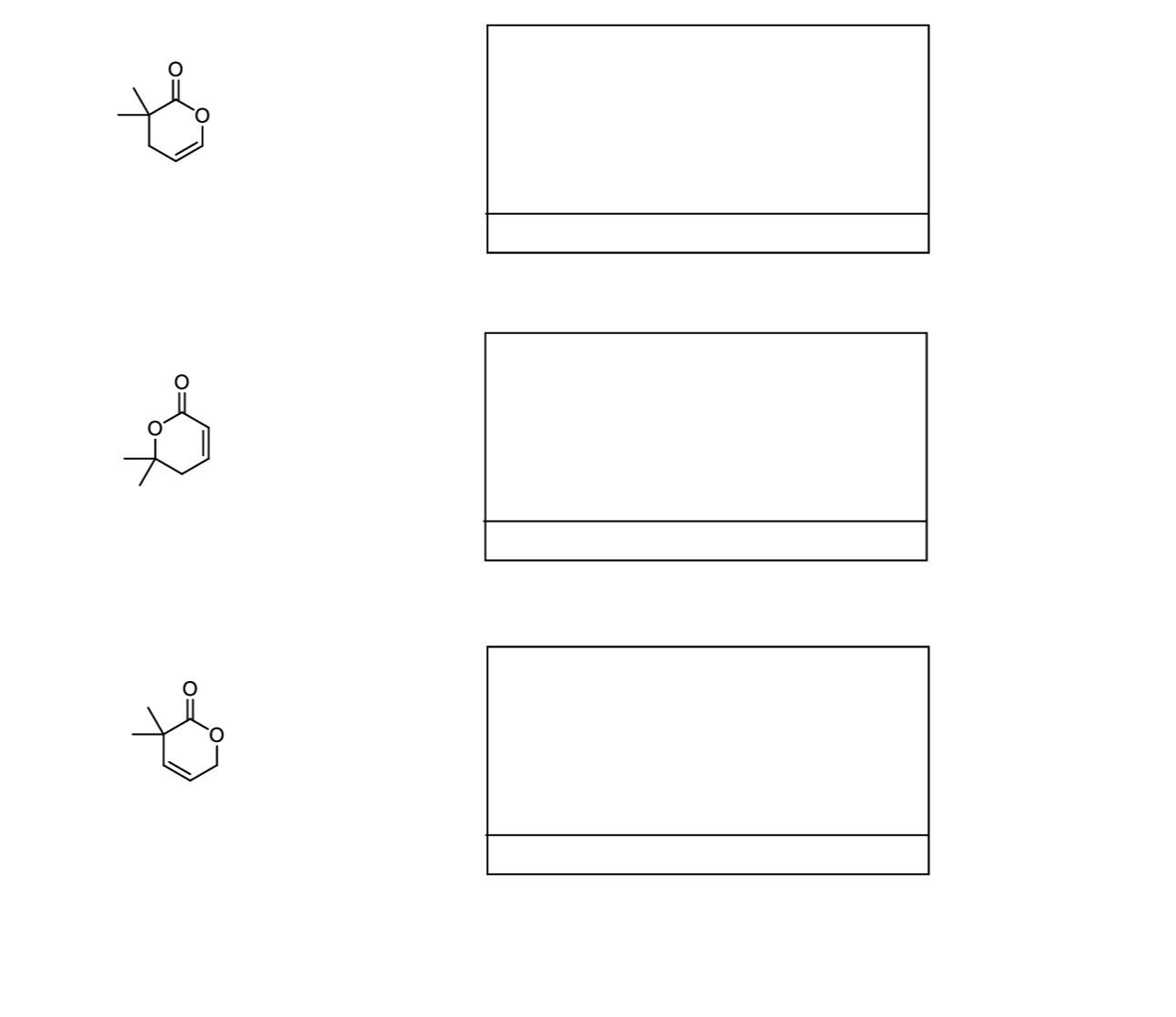 Question image 2