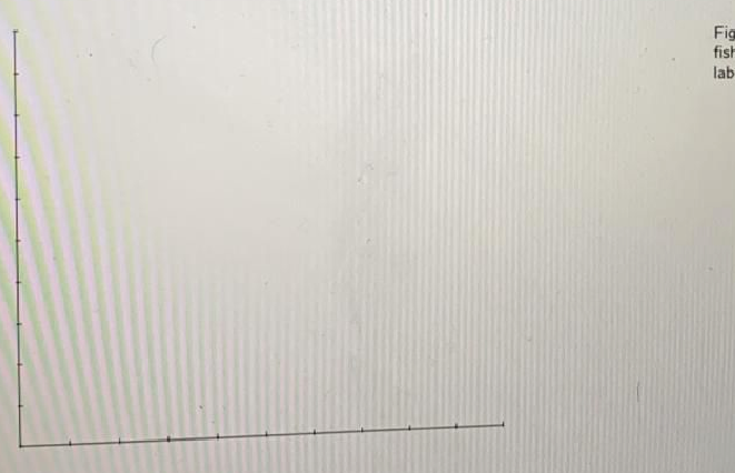 Question image 4