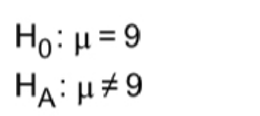 Question image 7
