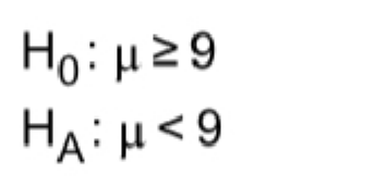 Question image 8