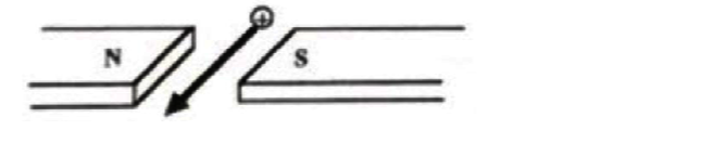 Question image 6