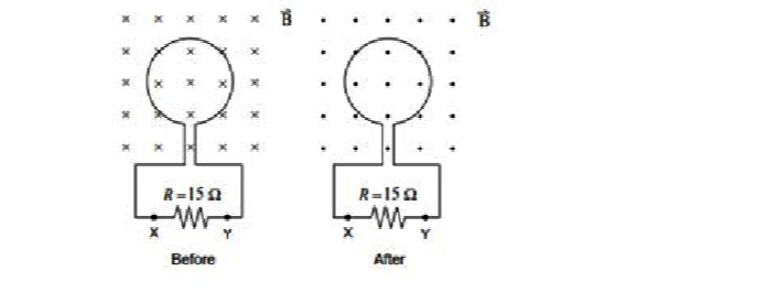 Question image 2