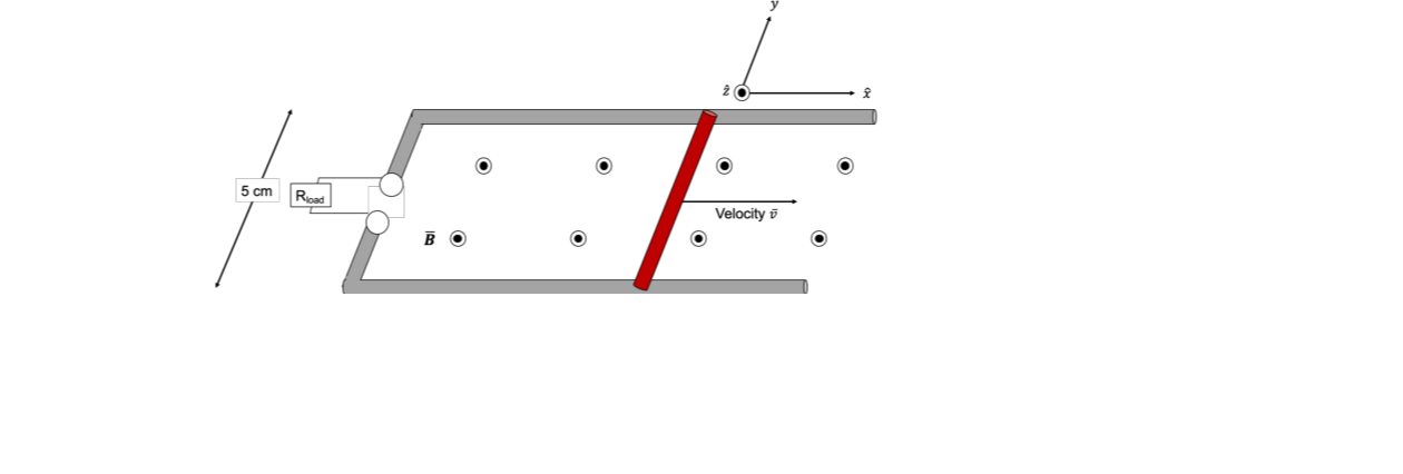Question image 7