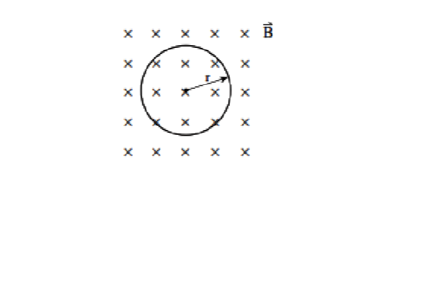 Question image 2