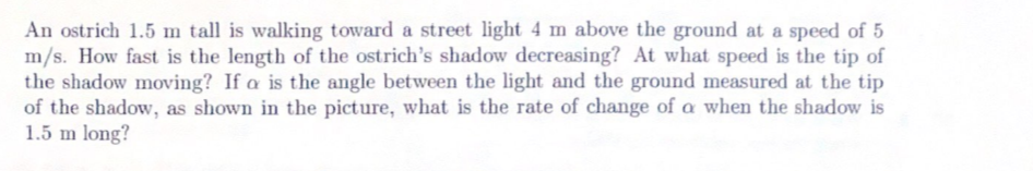 Question image 1