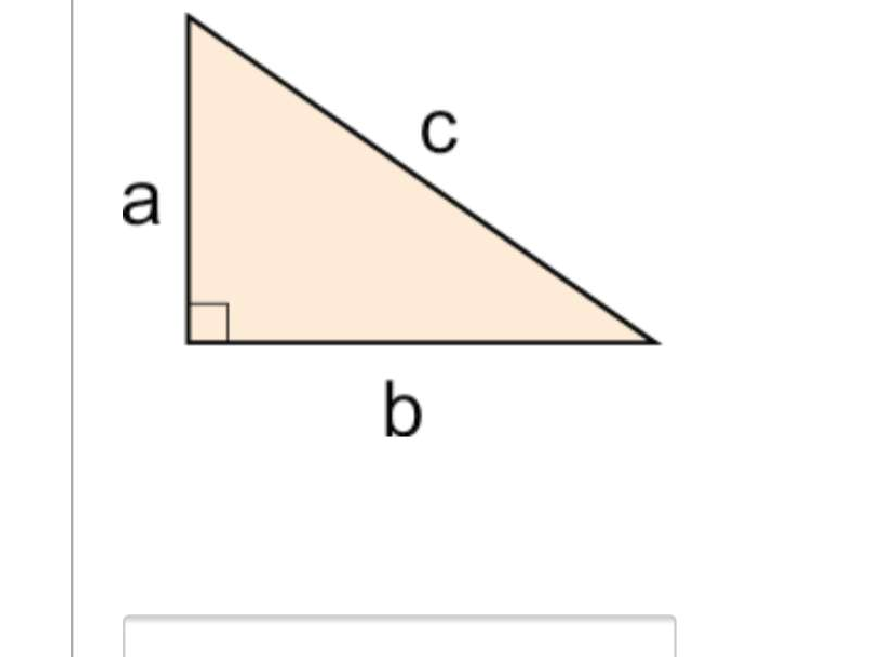 Question image 2
