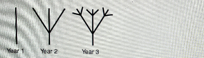 Question image 2