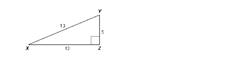 Question image 5