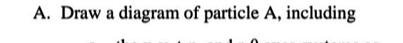 Question image 2