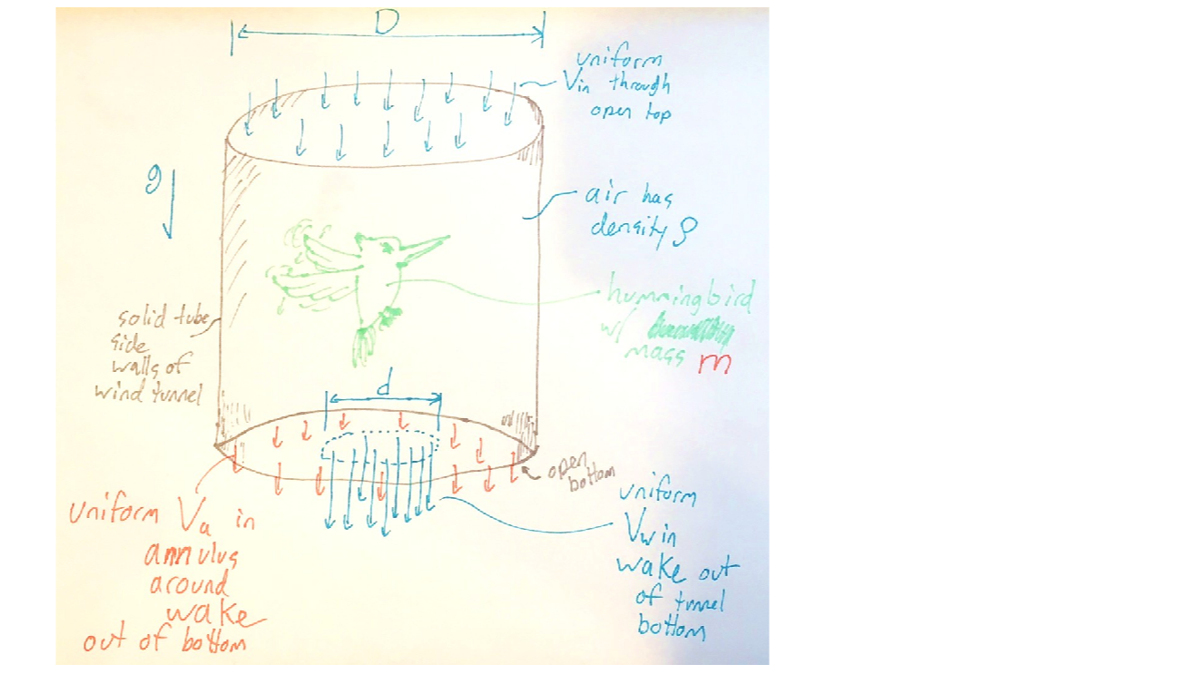 Question image 2