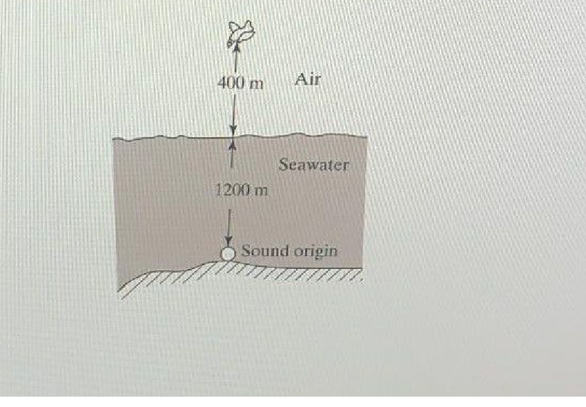 Question image 2