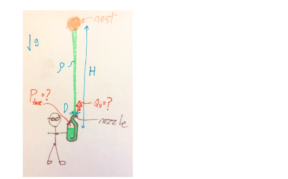 Question image 3