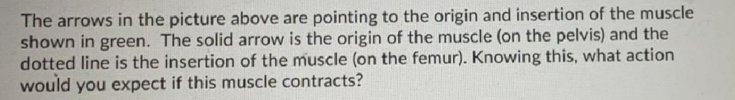 Question image 2