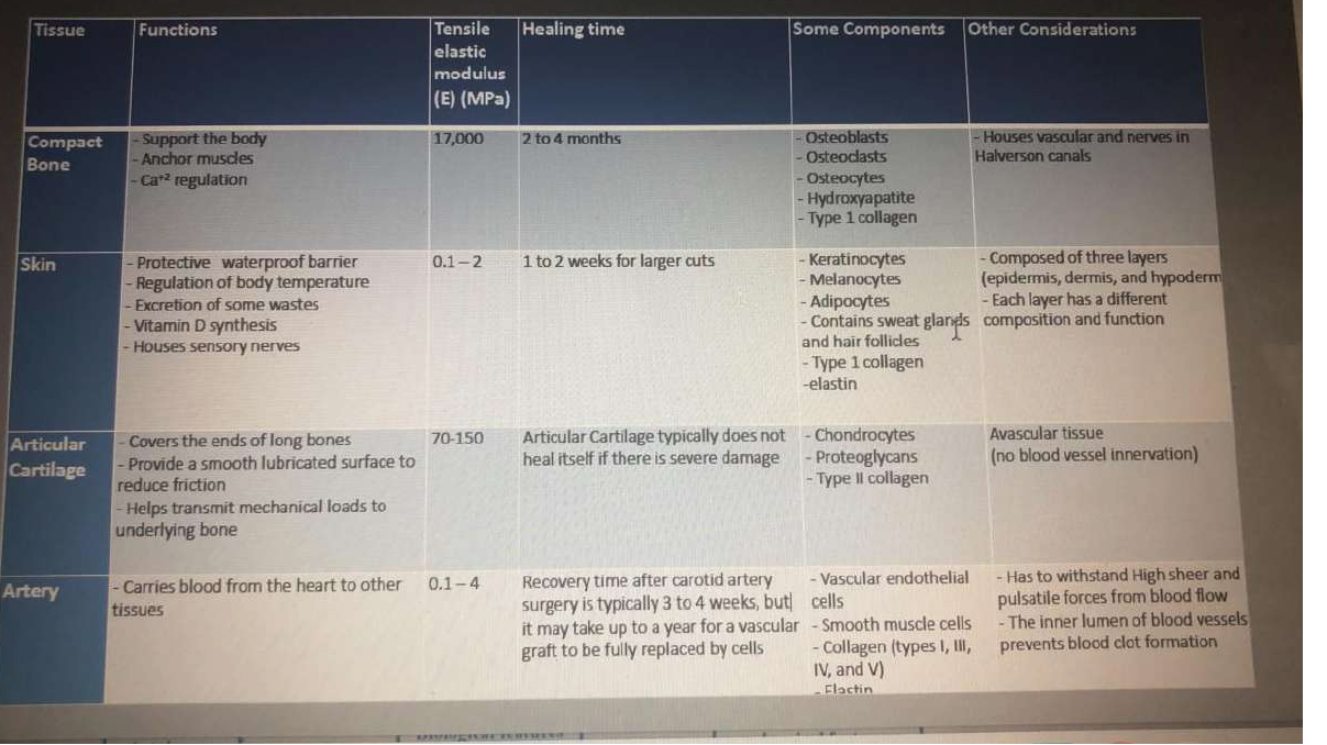 Question image 5