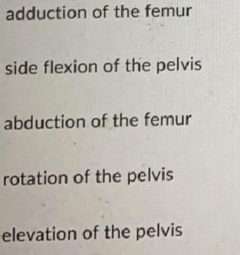 Question image 3