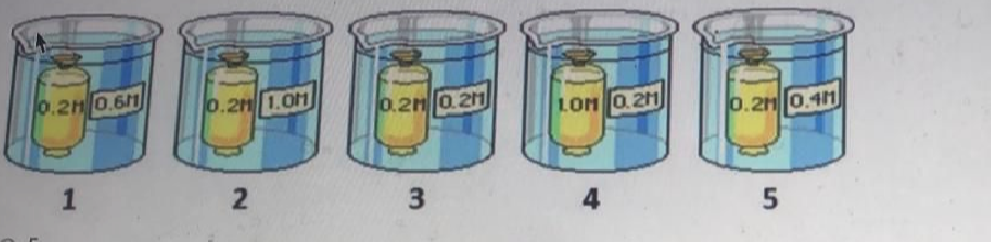Question image 2