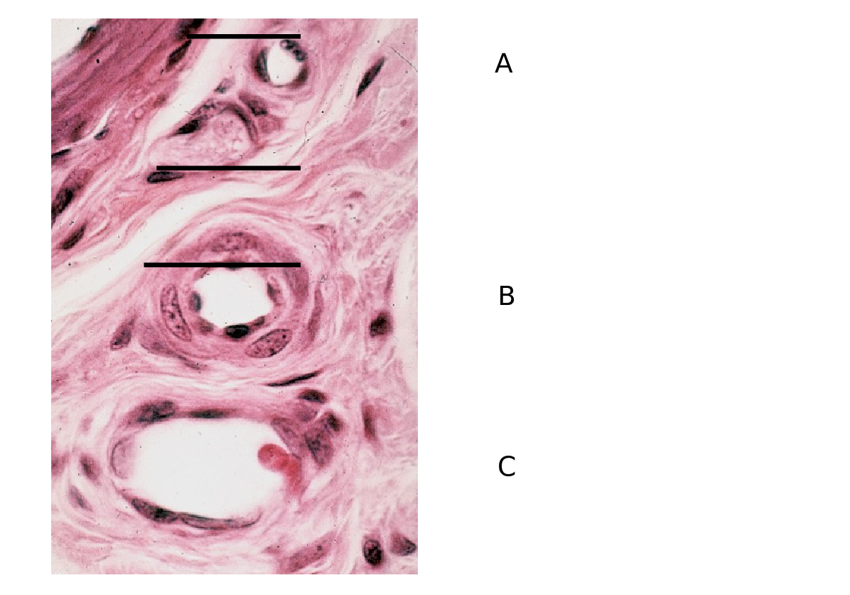 Question image 2