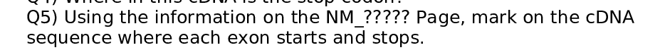 Question image 1