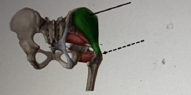 Question image 1