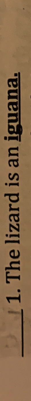 Question image 1