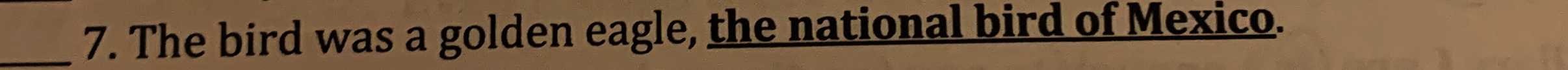 Question image 7