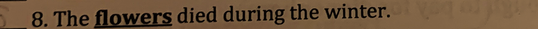 Question image 8