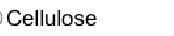 Question image 5