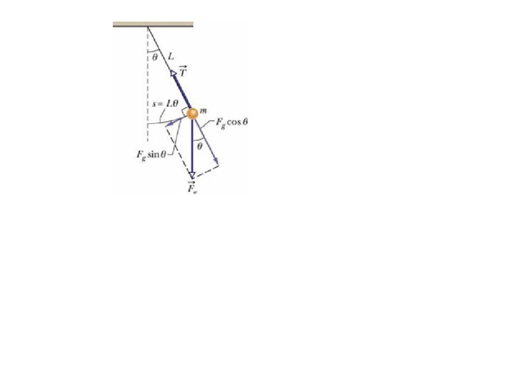Question image 5