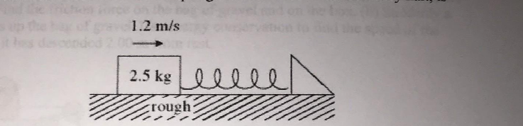 Question image 2