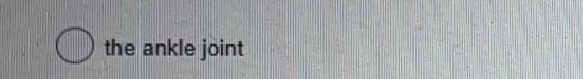 Question image 2