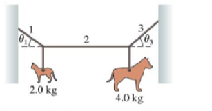 Question image 2