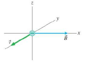 Question image 5