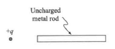 Question image 5