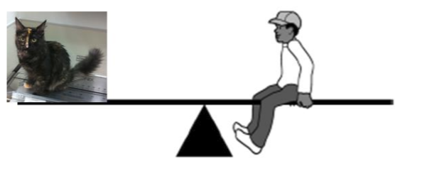 Question image 2