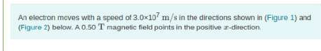 Question image 1